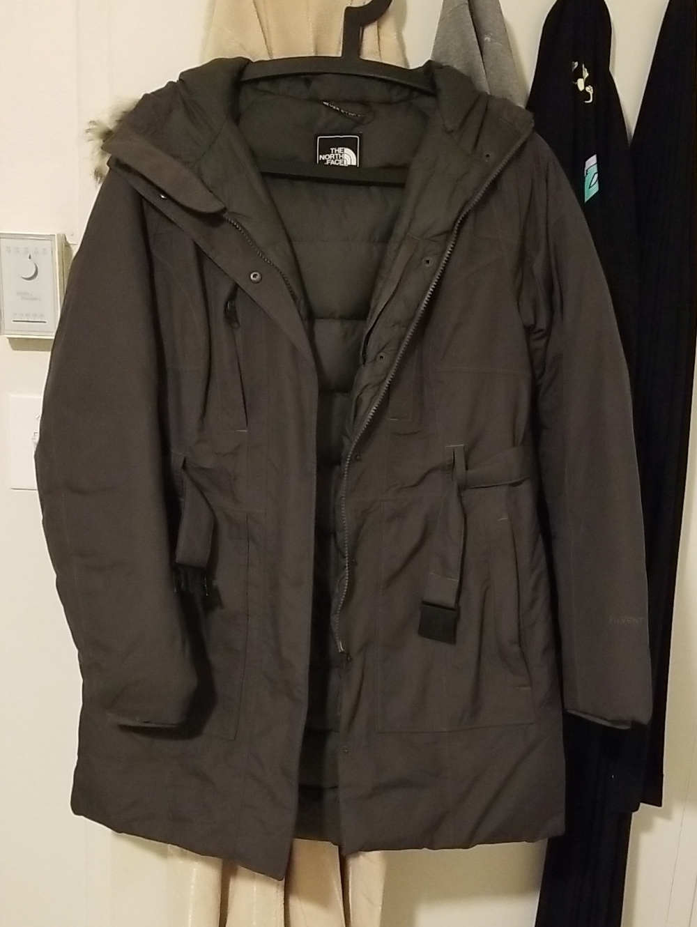 The North Face Men's Gray Hooded Insulated Parka